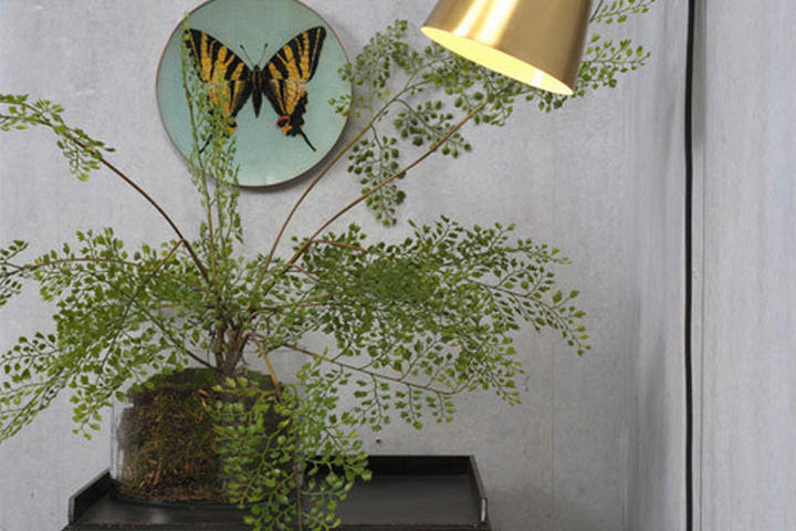 Goldene Wandlampe mit Schalter