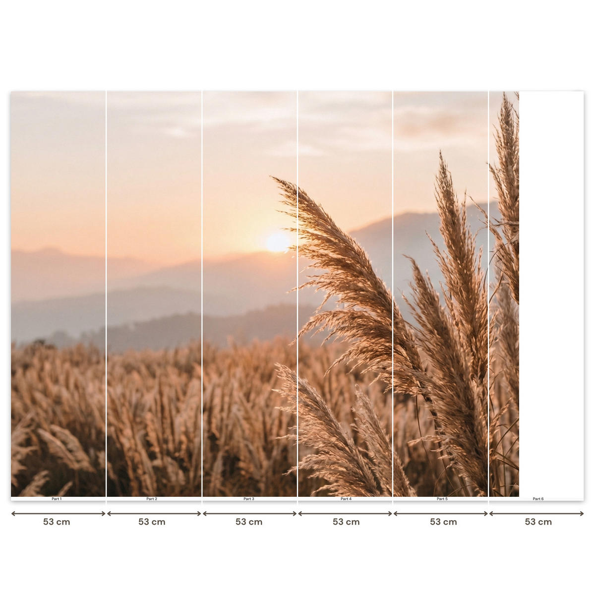 TAPETE - Gras - Feld - Sonne - Natur - 280x240 cm - Sandfarben, Papier (280/240cm) - OnlyWow