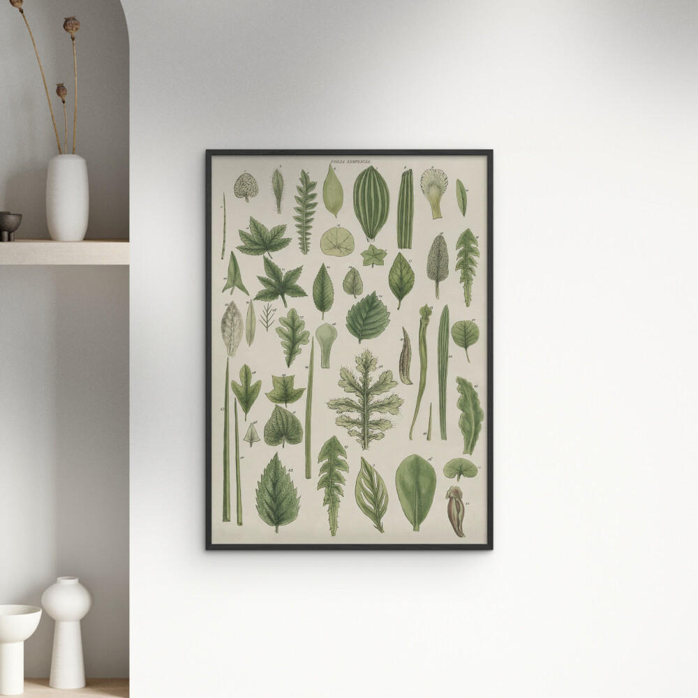 POSTER mit Rahmen Wild Apple - Assortment of Leaves II - Schwarz/Grün, Holz/Papier (30/40cm) - Poster&Frame