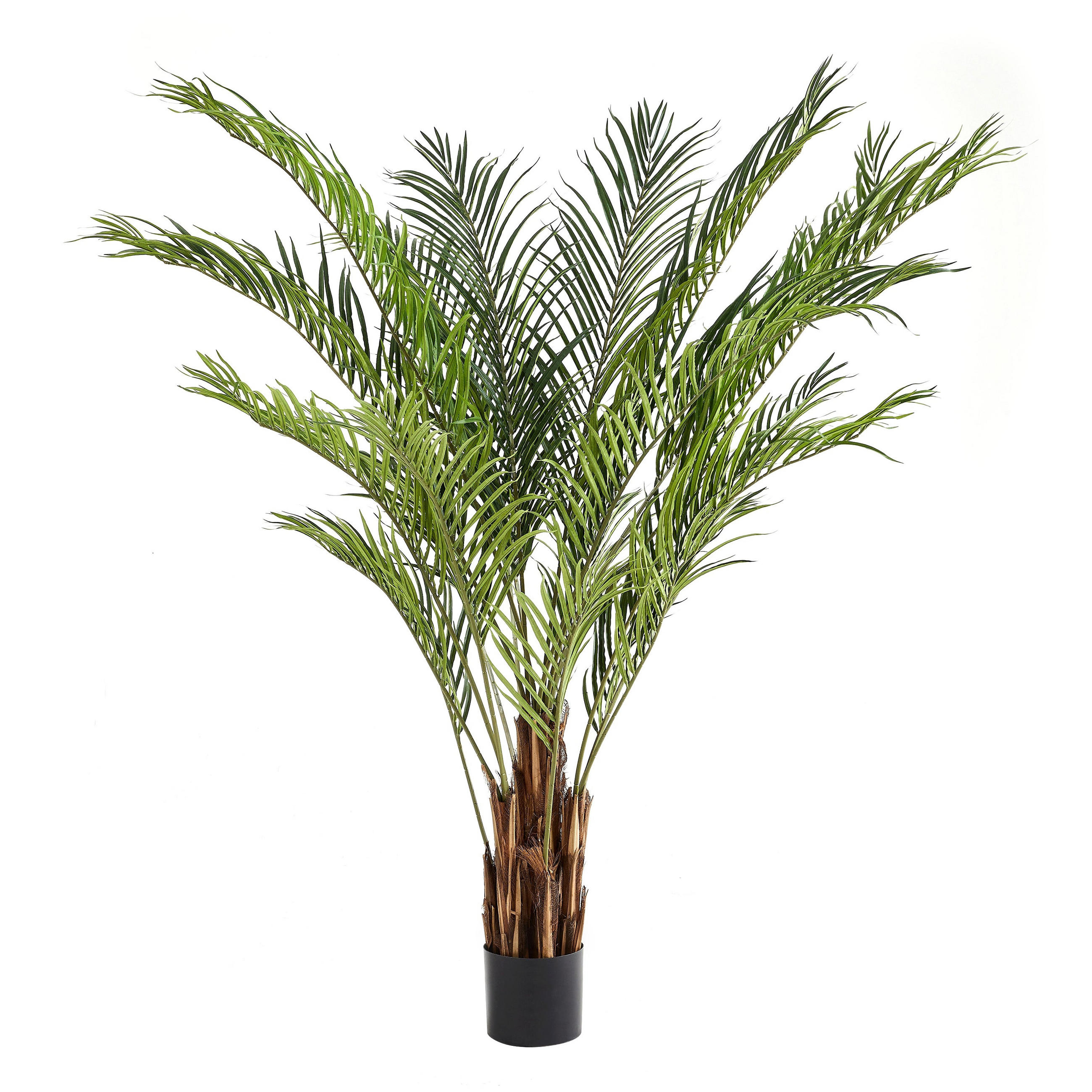 KUNSTBAUM Künstliche Kentia-Palme – Caliora 210 cm - Grün, Kunststoff (210cm) - aplanta