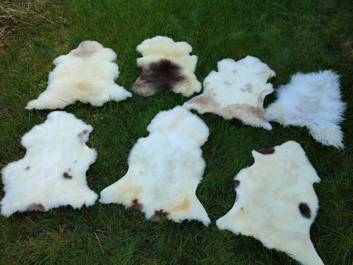 LAMMFELL Natur Schaffell hell gefleckt langhaar ca. 95 cm - Creme/Weiß, Fell (55/95cm) - Provellus