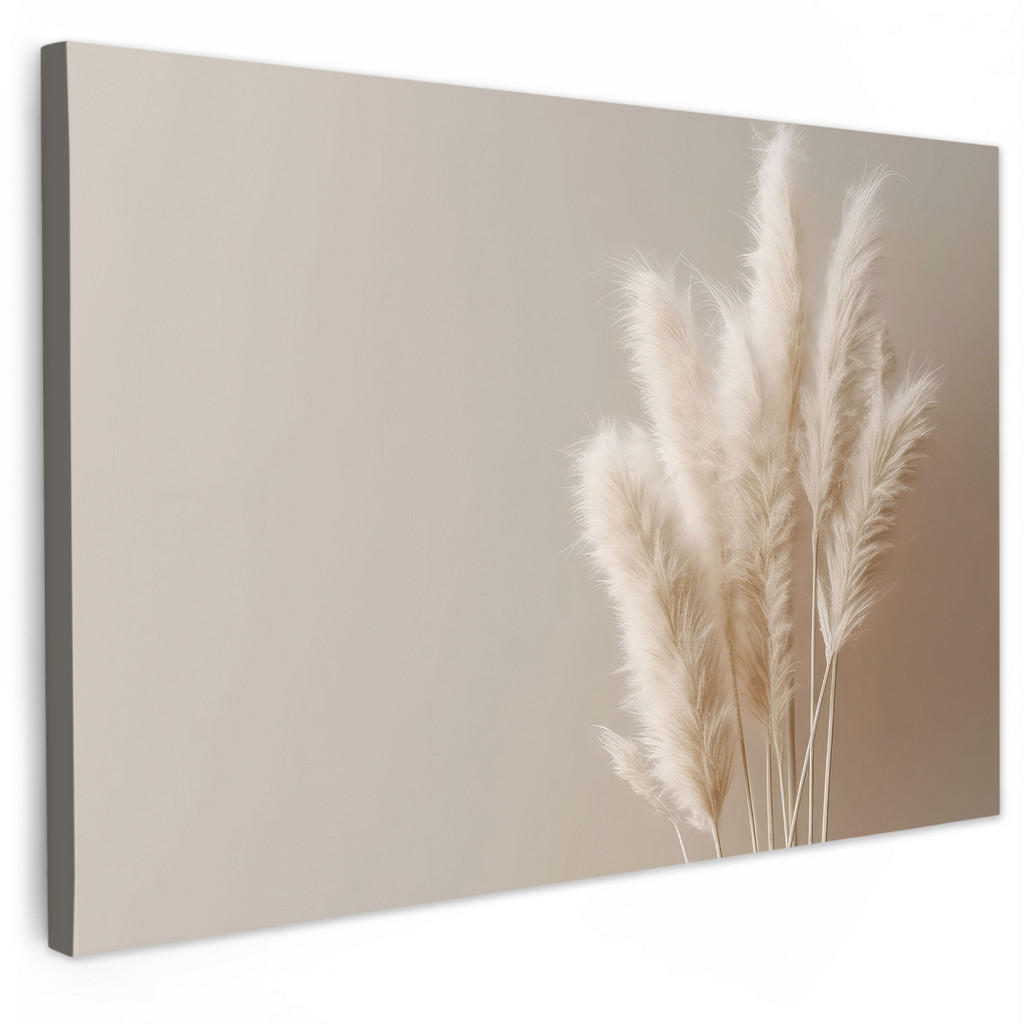 MuchoWow OBRAZ NA PLÁTNĚ Pampová tráva - Plumes - Pastelová - Bílá 60x40 cm