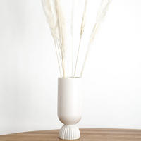 PAMPASGRAS Mini - weiß / Bund / 65 cm - Weiß, Naturmaterialien (65cm) - Lykke & You