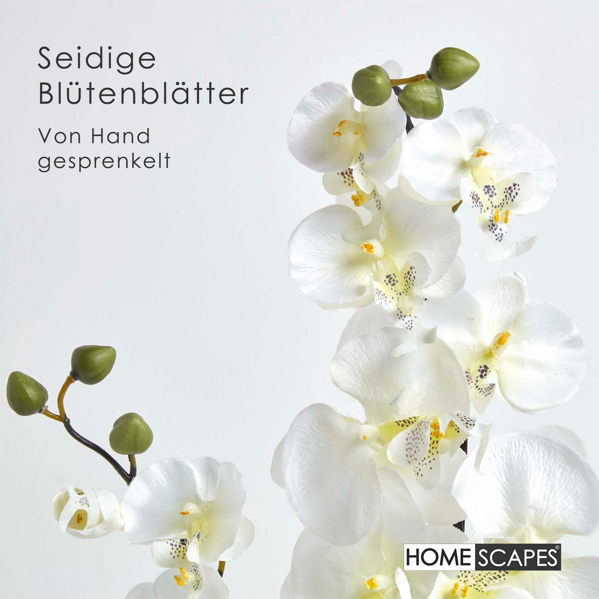 KUNSTBLUME Orchidee weiß in Schale, 54 cm - Creme, Kunststoff (54cm) - Homescapes
