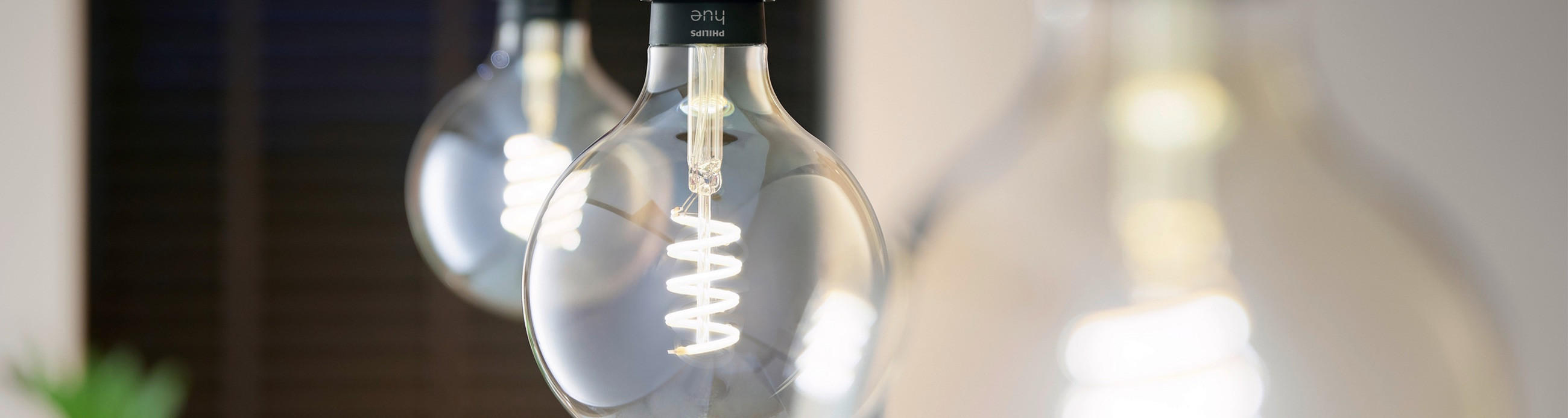 mehrere Glühbirnen von phillips