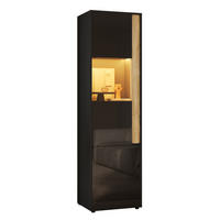 VITRINE 50x40x179 cm Schwarz Natur mit LED und 2 Türen - Schwarz, Holzwerkstoff (50/179/40cm) - FLIEKS