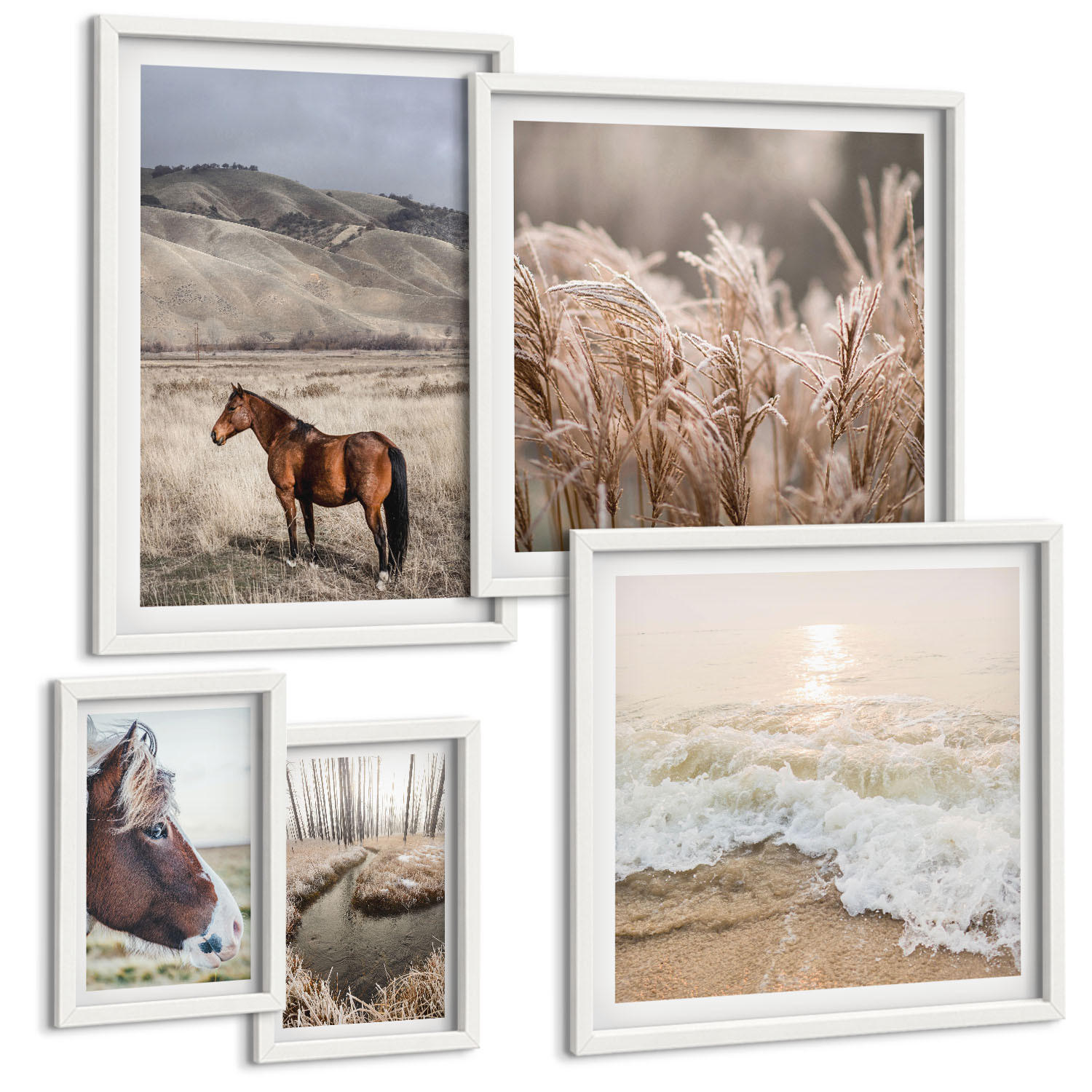 BILDER SET 5er Set - 50x50 cm & 20x30 cm & 40x60 cm Weißer Rahmen - Pferdelandschaft Seegraswald - Weiß, Kunststoff (40/60cm) - TULUP