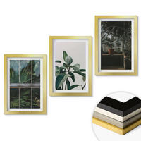 WANDBILDER 3er Set - 20x30 cm Goldrahmen - Grüne Blätter an der Fensterpflanze - Goldfarben, Kunststoff (20/30cm) - ArtPrintCave