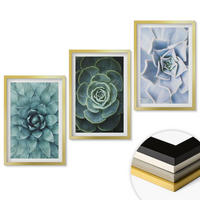WANDBILDER 3er Set - 40x60 cm Goldrahmen - Sukkulente Pflanzen grün türkis - Goldfarben, Kunststoff (40/60cm) - ArtPrintCave