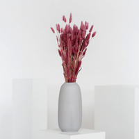 LAGURUS | Samtgras | Hasenschwanz 60cm - magenta - Magenta, Naturmaterialien (70cm) - Lykke & You