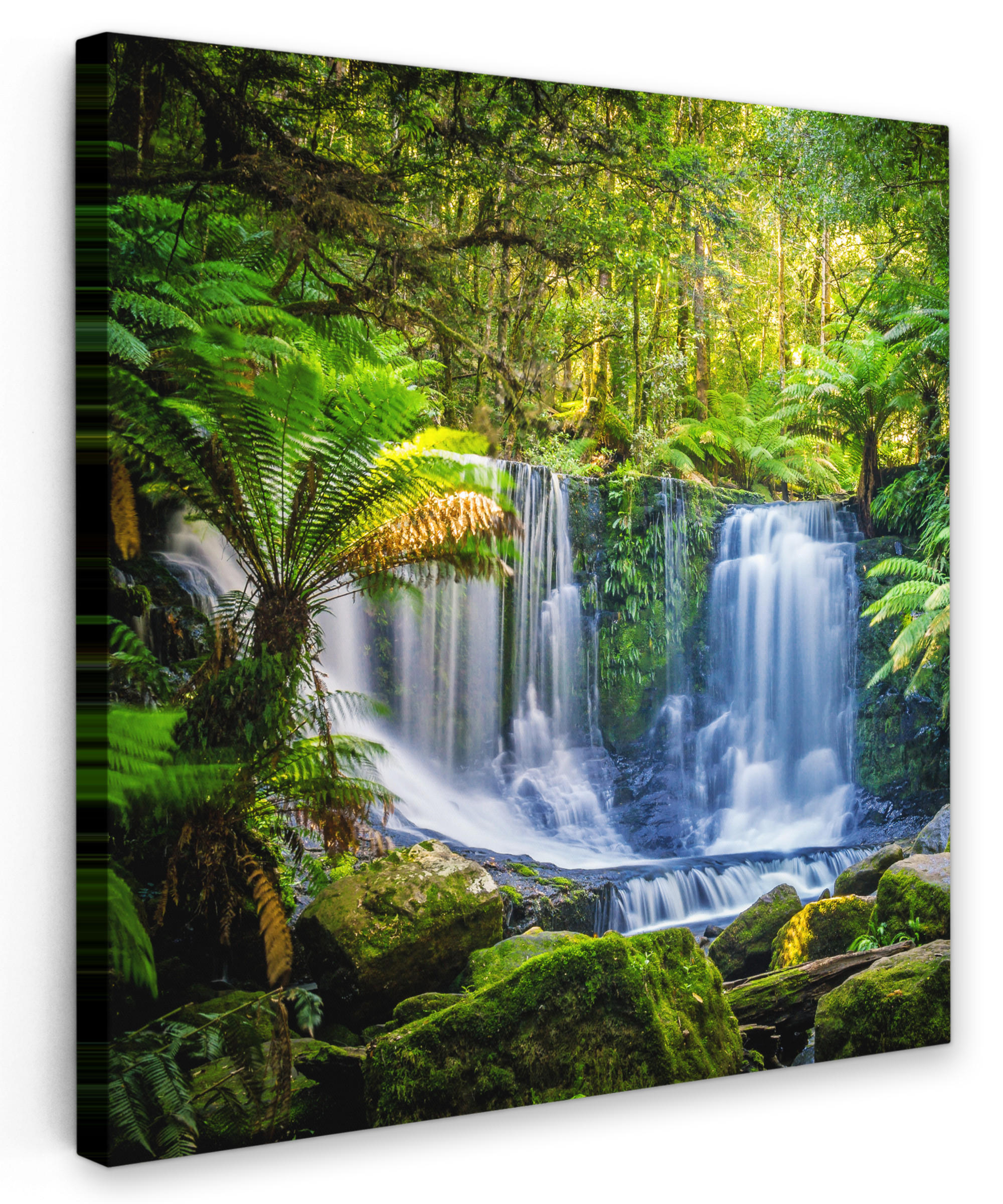 LEINWANDBILD Dschungel - Wasserfall - Australien - Pflanzen - Natur 20x20 cm - Dunkelgrün, Textil (20/20cm) - MuchoWow