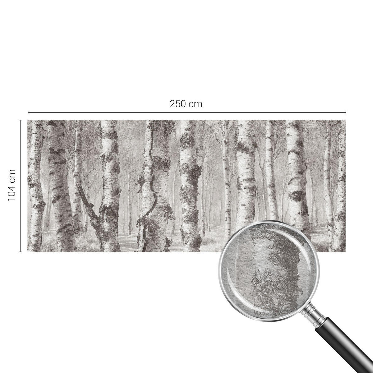 FOTOTAPETE 250x104 cm - Birkenwald - Schwarz, Textil (250/104cm) - Wallfluent