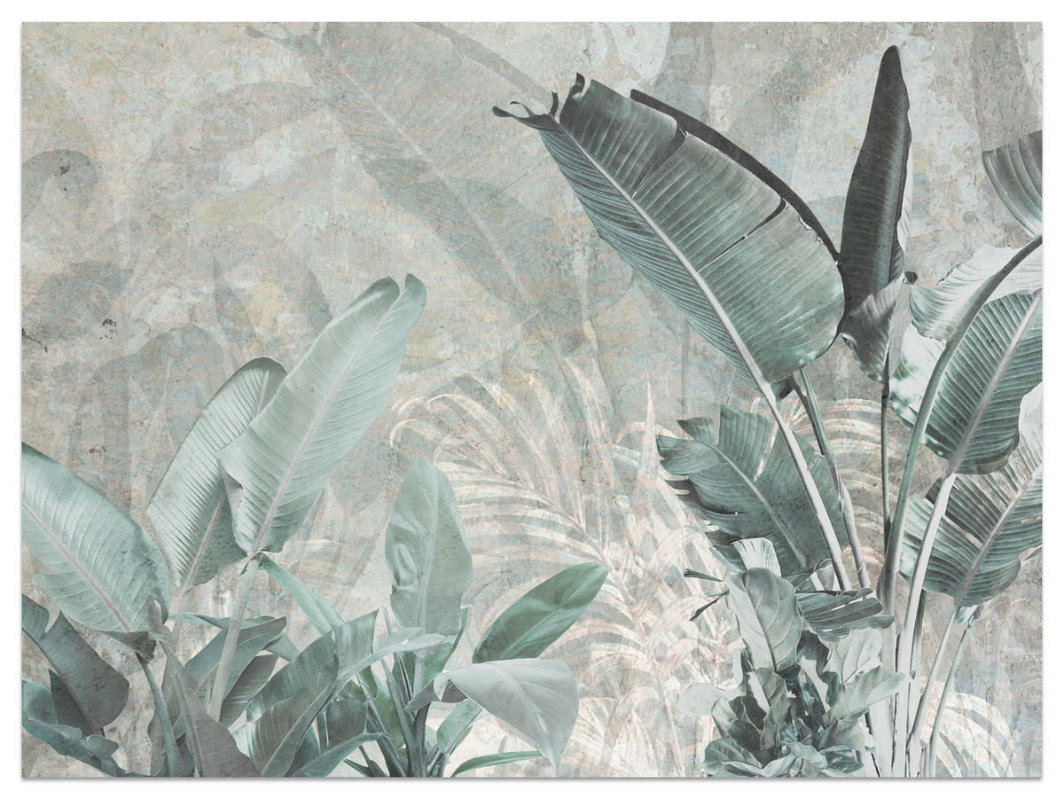 FOTOTAPETE für Küche Beton Bananenblätter Abstrakt Pflanzen Vintage 350x256 - Beige/Grau, Papier (350/256cm) - Muralo