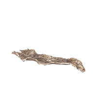 SCHALE Aitana Gold 54/15/7cm - Goldfarben, Metall (7cm) - PTMD Collection