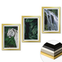 WANDBILDER 3er Set - 20x30 cm Goldrahmen - Wasserfall aus weißen Tigerblättern - Goldfarben, Kunststoff (20/30cm) - ArtPrintCave