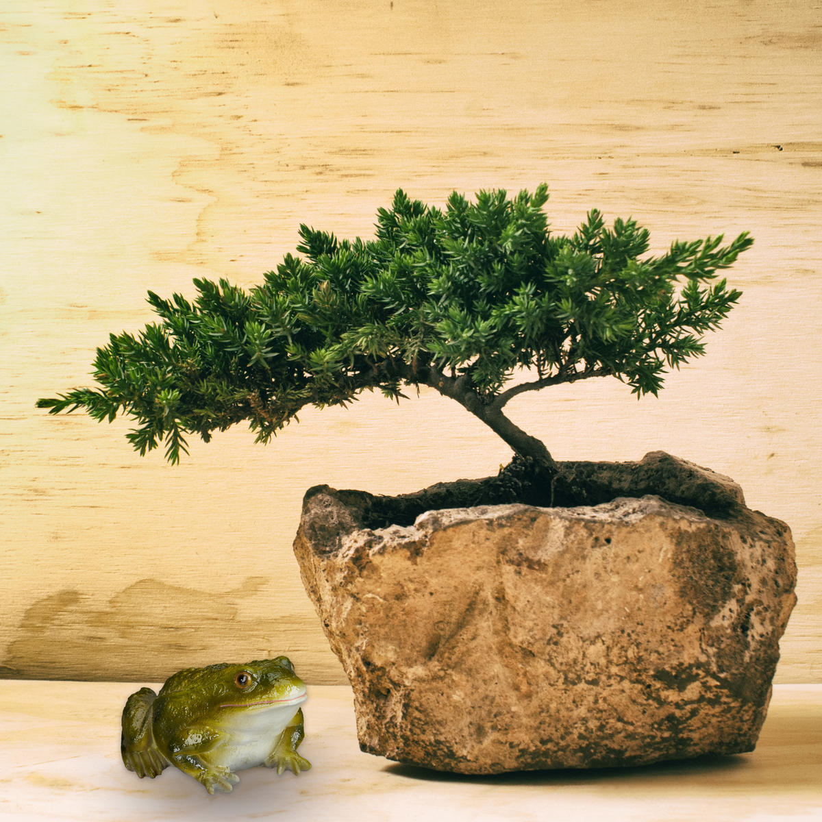 GARTENFIGUR Frosch - Dunkelgrün, Kunststoff (13.5/9/15cm) - Relaxdays