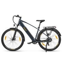 E-BIKE Eleglide T1 – Extensive 100 km Reichweite herausnehmbarer Akku - Graphitfarben, Metall (78cm)