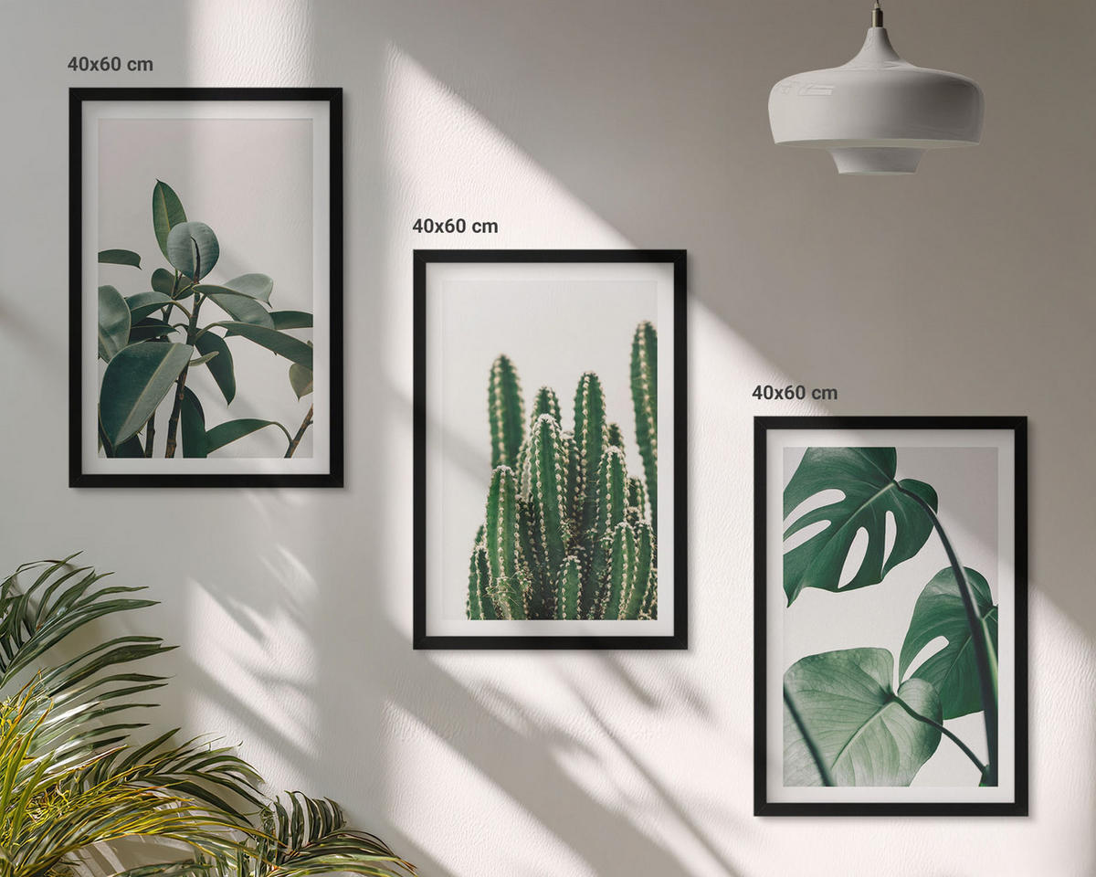 WANDBILDER 3er-Set - 40x60 cm Schwarzer Rahmen - Tropische ästhetische Pflanzen - Schwarz, Kunststoff (40/60cm) - ArtPrintCave