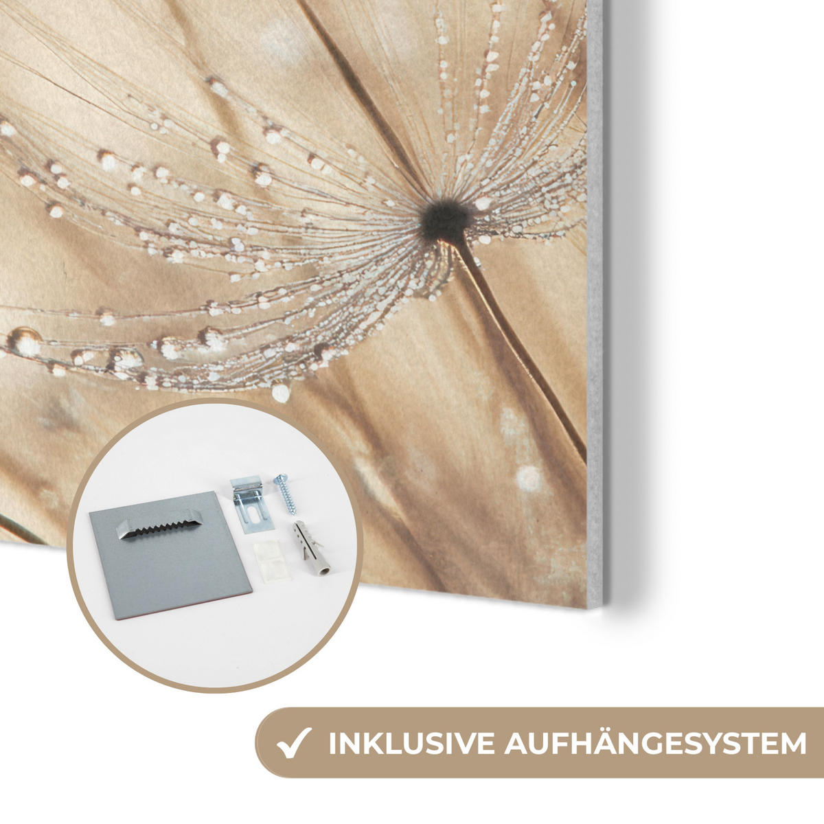 AKUSTIKPANEEL Löwenzahn - Abstrakt - Natur - Beige 90x90 cm - Braun, Textil (90/0.9/90cm) - MuchoWow