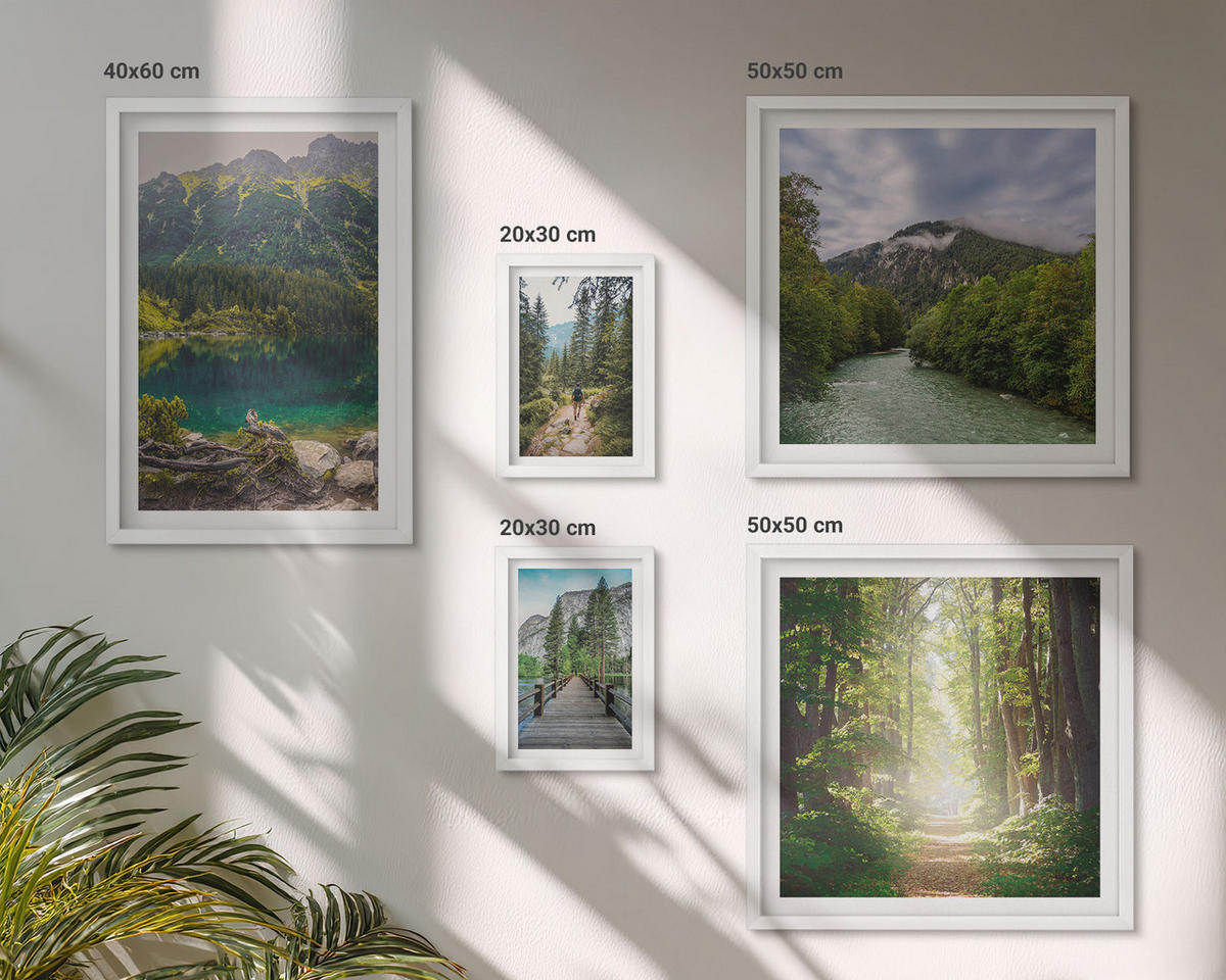 WANDBILDER 5er-Set - 50x50 cm & 20x30 cm & 40x60 cm Weißer Rahmen - Straße Wald Berge Hirsch Natur - Weiß, Kunststoff (40/60cm) - ArtPrintCave