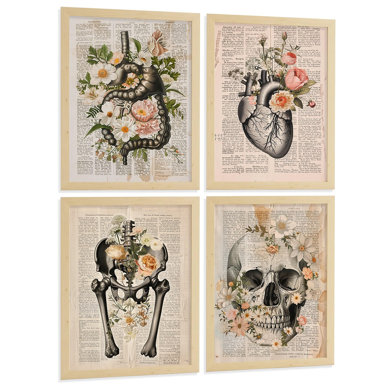 POSTER Set aus 4 Anatomie Mensch Botanische Drucke und mit Organen Herz Verdauungssystem Schädel und Becken Heimdekoration Größe Rahmenlos A4 - Klar, Papier (21/29.7/3cm) - Nacnic