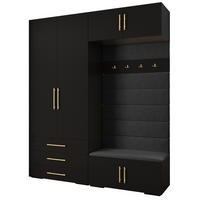 GARDEROBEN-SET 236,7/200/47 - Goldfarben/Schwarz, Holz/Metall (200/236.7/47cm) - Abiks Möbel