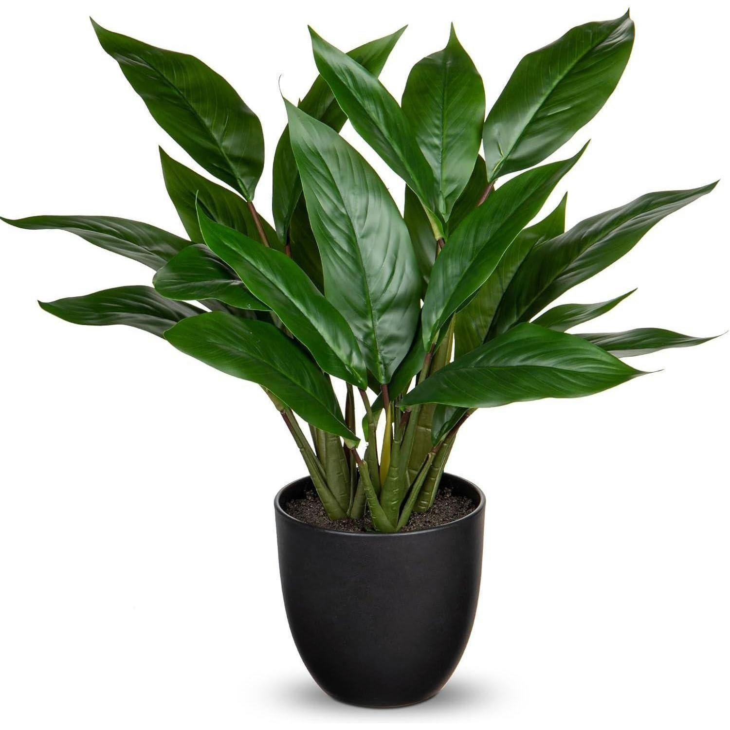 KUNSTPFLANZE Calathea Buschig mit 22 Blättern 43 cm Grün - Grün, Kunststoff (10cm)
