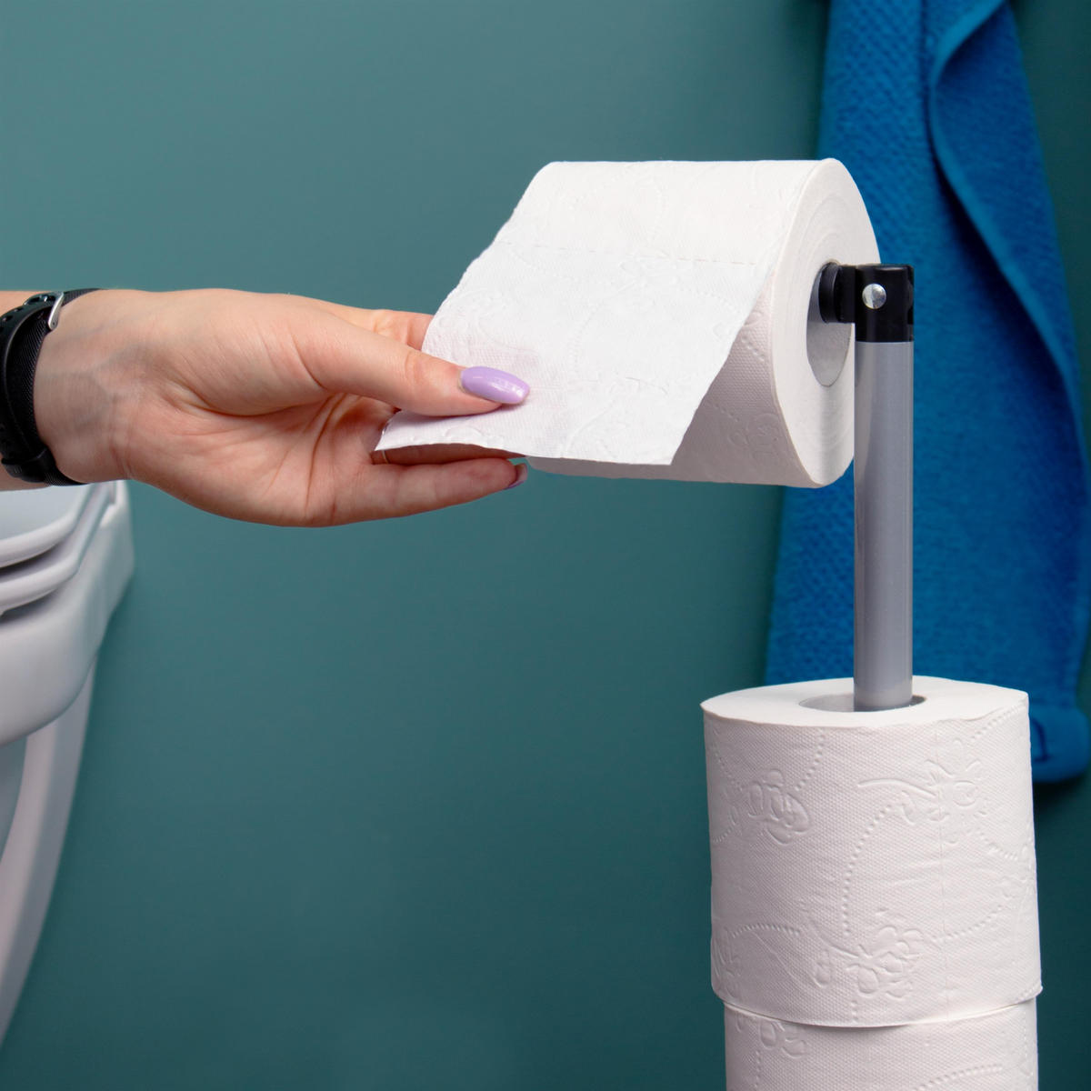 STAND-WC-ROLLENHALTER, grau, Stahl - Grau, Metall (19/55/19cm) - bremermann