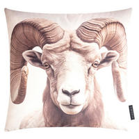 KISSENHÜLLE Wild Animals Widder - Beige, Textil (45/45cm) - Magma Heimtexx