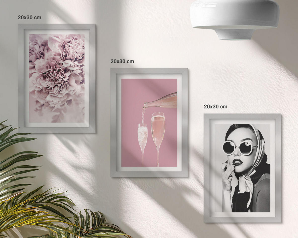 WANDBILDER 3er Set - 20x30 cm Silberner Rahmen - Rosenblüten und eine elegante Dame - Silberfarben, Kunststoff (20/30cm) - ArtPrintCave