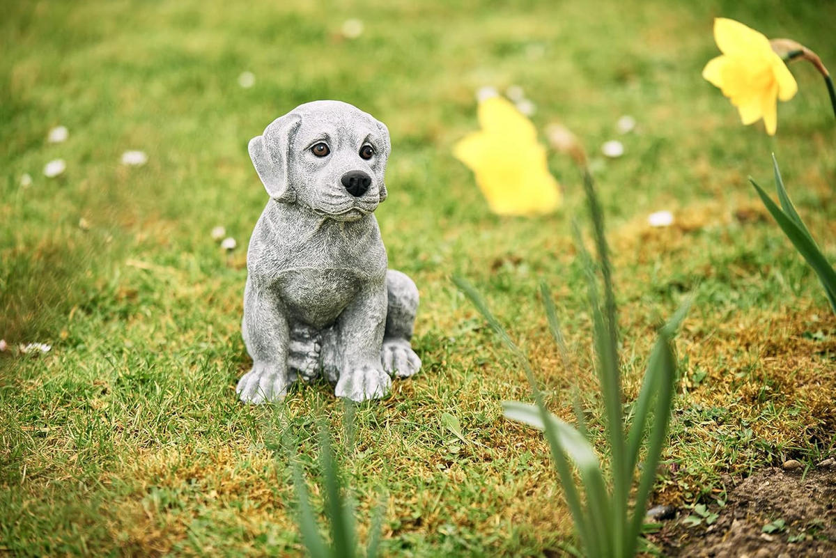 STEINFIGUR Rottweiler Welpe frostfest wetterfest Steinguss - Grau, Stein (15/25/20cm) - stoneandstyle