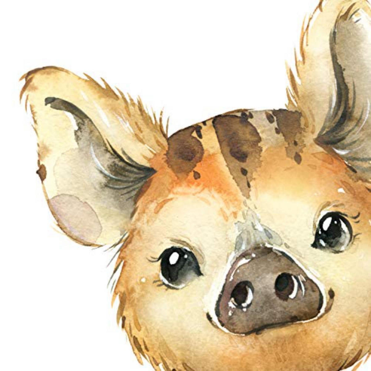 POSTER Set mit 4 Tiger Mofeta Hiena Waschbär A4 Schwarzer Rahmen - Schwarz, Papier (29.7/3cm) - Nacnic