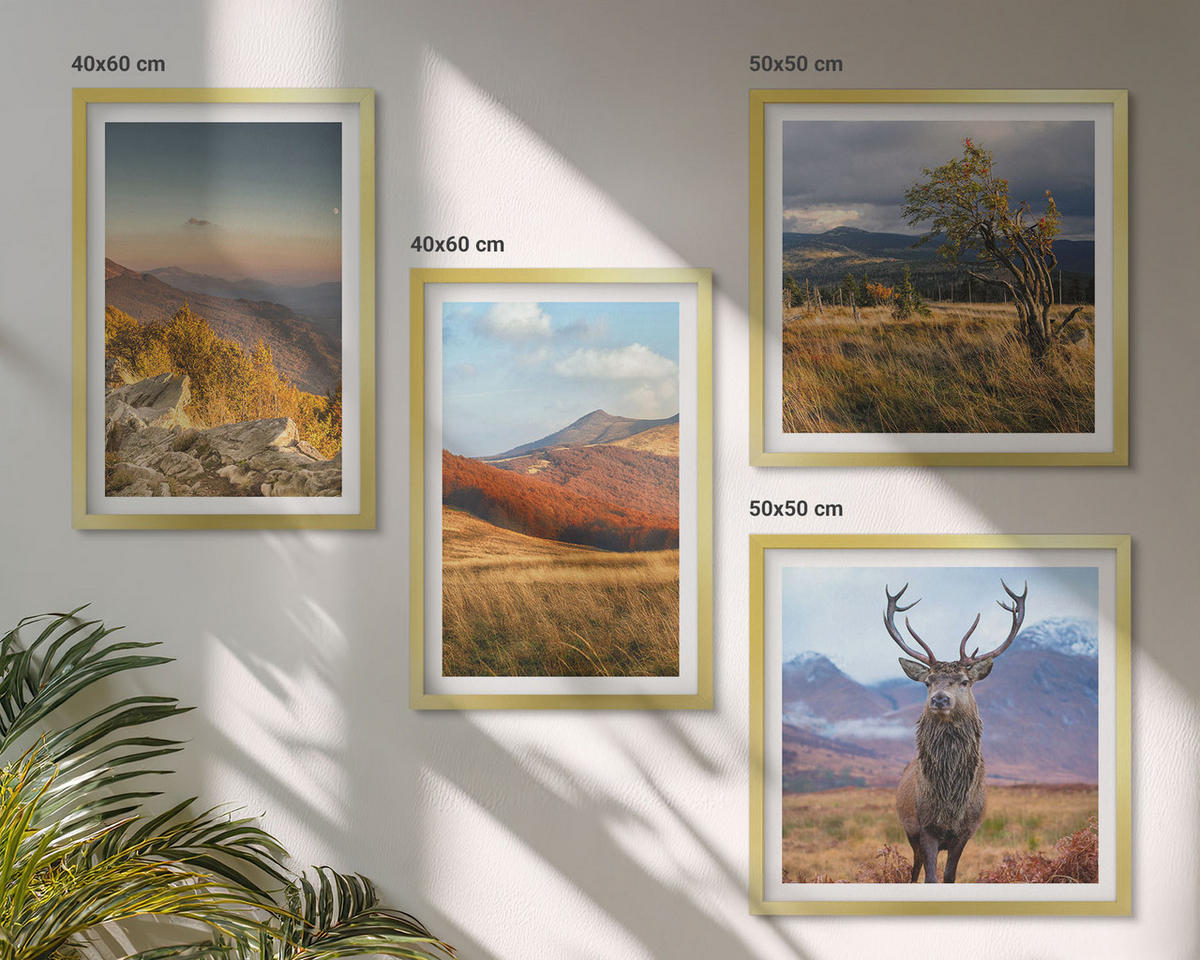 BILDER SET 4er Set - 50x50 cm & 40x60 cm Goldrahmen - Berglandschaften, Hirschgras - Goldfarben, Kunststoff (50/50cm) - TULUP