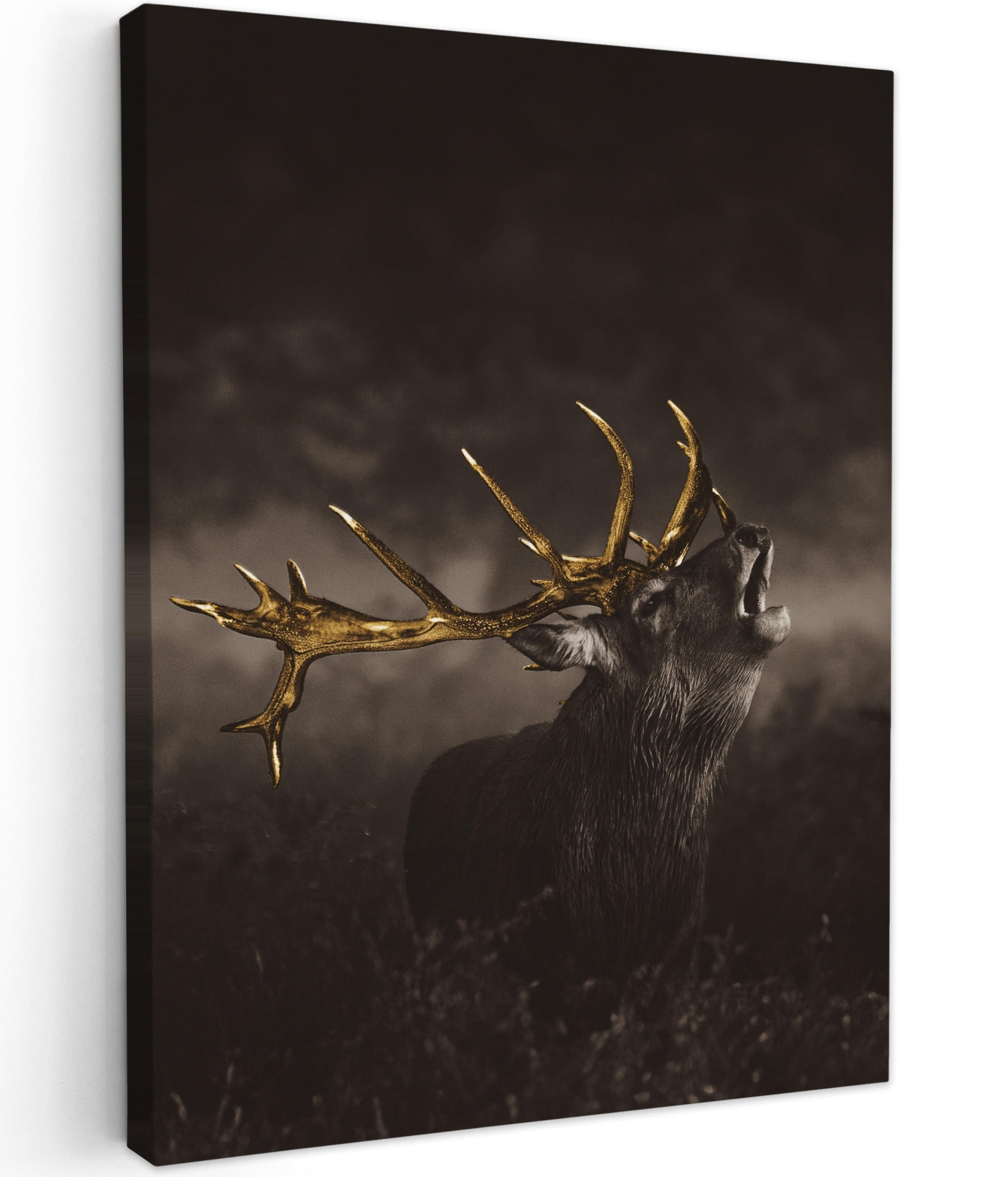 LEINWANDBILD Rotwild - Schwarz - Gold 30x40 cm - Braun, Textil (30/40cm) - MuchoWow