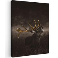 LEINWANDBILD Rotwild - Schwarz - Gold 30x40 cm - Braun, Textil (30/40cm) - MuchoWow