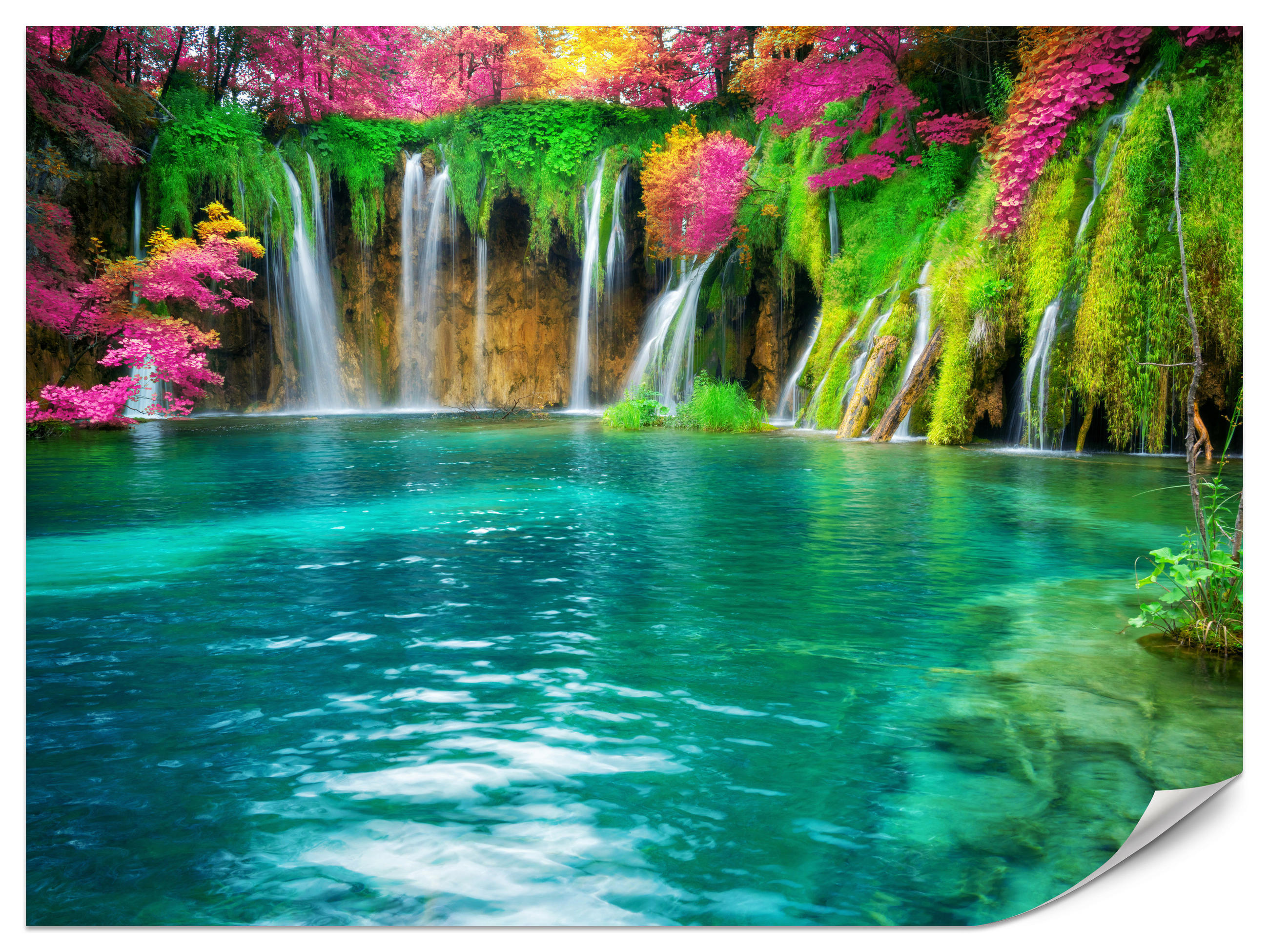 #REF! - zelená/ružová, papier (100/70cm) - Muralo