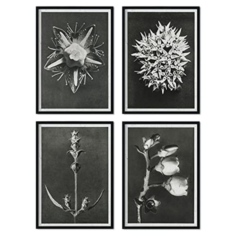 POSTER Set mit 4 von Blättern dunkler Hintergrund Blumen und Pflanzen in Grausteinen A3 Rahmenlos - Klar, Papier (29.7/3cm) - Nacnic