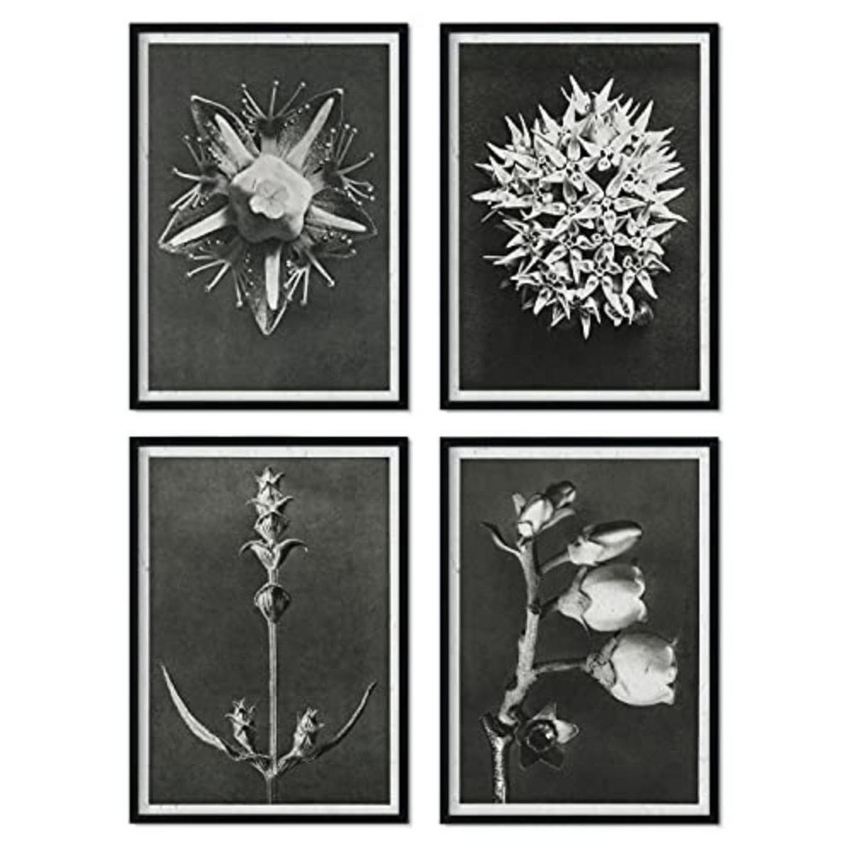 POSTER Set mit 4 von Blättern dunkler Hintergrund Blumen und Pflanzen in Grausteinen A3 Rahmenlos - Klar, Papier (29.7/3cm) - Nacnic