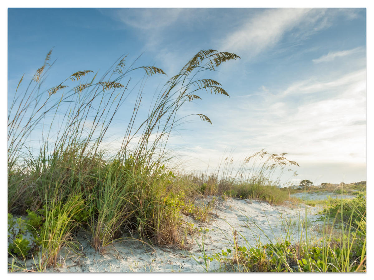 FOTOTAPETE für Schlafzimmer Dünen Pflanzen Strand Gras 400x280 - Blau/Beige, Papier (400/280cm) - Muralo