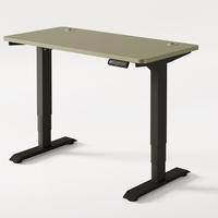 SCHREIBTISCH Elektrisch Höhenverstellbarer HomePro 120x60cm Schwarz/Grün mit Memory-Funktion, Anti-Kollisions Technologie - Schwarz/Grün, Holzwerkstoff (60/120/72cm) - Desktronic