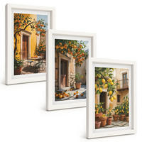 BILDER SET 3er Set - 20x30 cm Weißer Rahmen - Zitrusfrüchte, Hofpflanzen - Weiß, Kunststoff (20/30cm) - TULUP