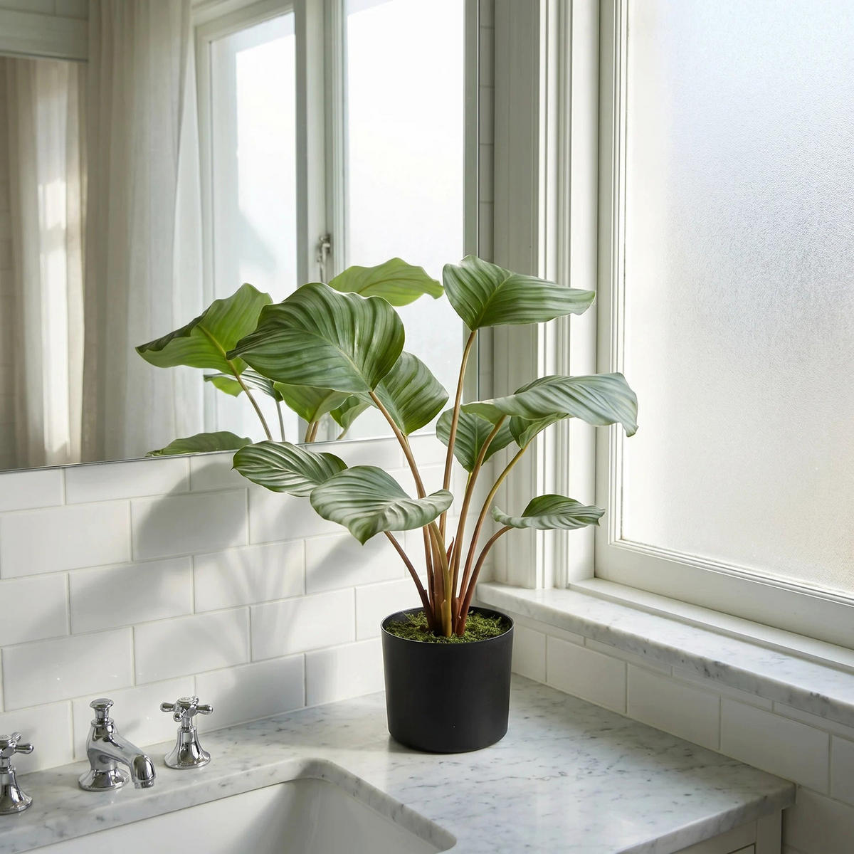 KUNSTPFLANZE Künstliche Calathea - Silvina 45 cm - Grün, Kunststoff (45cm) - aplanta