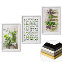 WANDBILDER 3er-Set - 40x60 cm Weißer Rahmen - Getrocknete Kräuter für die Küche - Weiß, Kunststoff (40/60cm) - ArtPrintCave