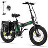 E-BIKE BK11M Klapprad 20 × 4,0 Zoll mit 48V15Ah Akku Max 45-100km - Grün, Metall (30cm) - HITWAY