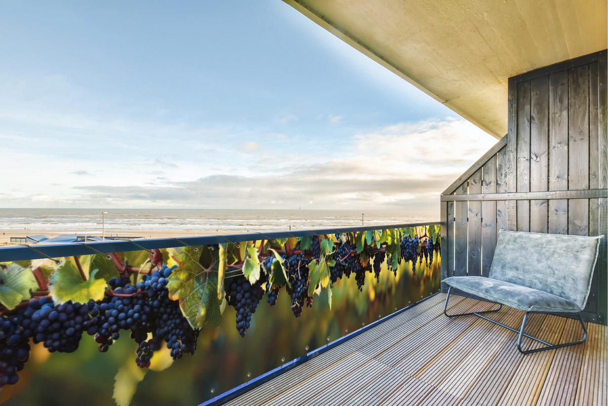 BALKON-SICHTSCHUTZ Trauben - Wein - Natur - Grün - Weinrot, Kunststoff (500/75cm) - MuchoWow