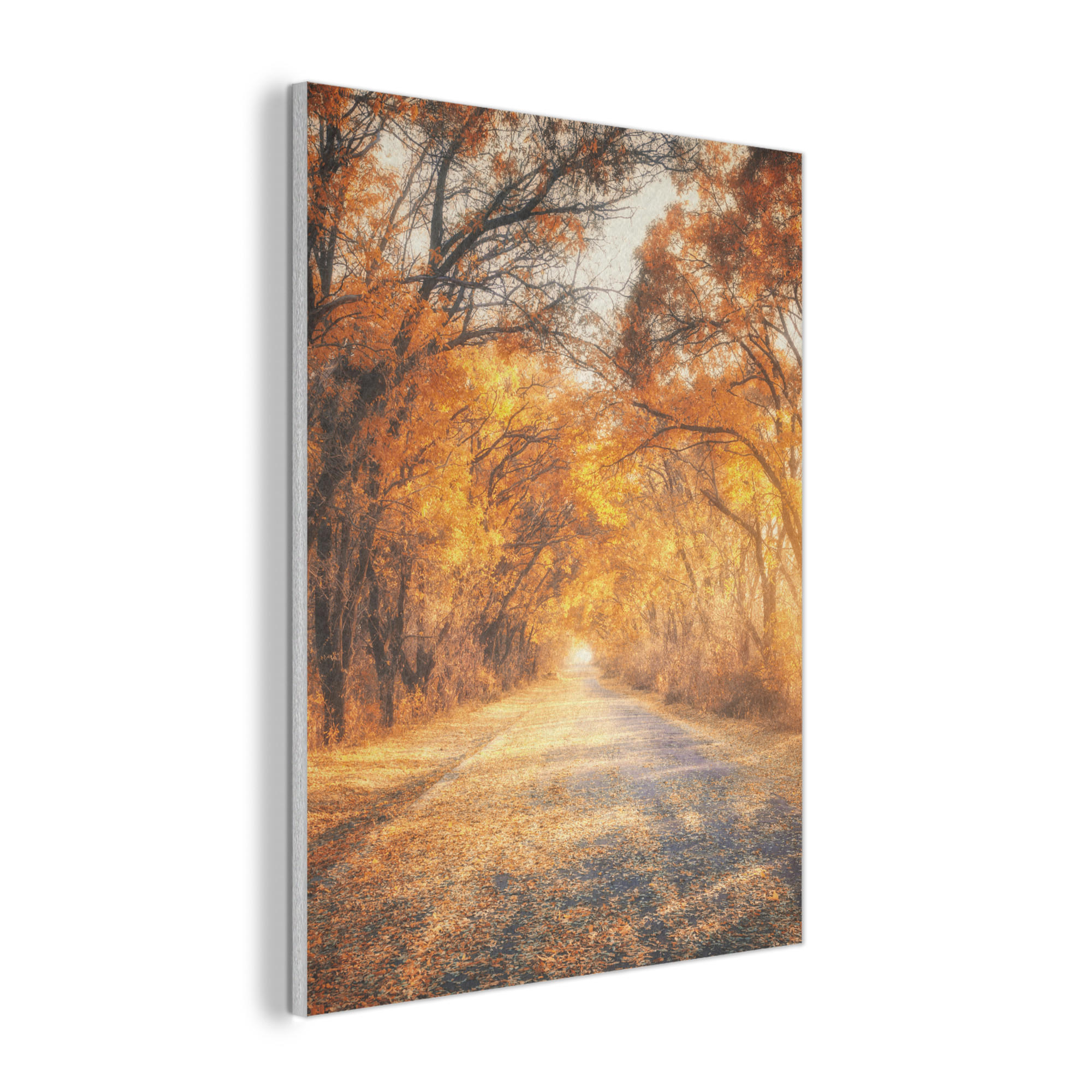 AKUSTIKPANEEL Wald - Herbst - Bäume - Waldweg - Natur 70x100 cm - Bernsteinfarben, Textil (70/0.9/100cm) - MuchoWow