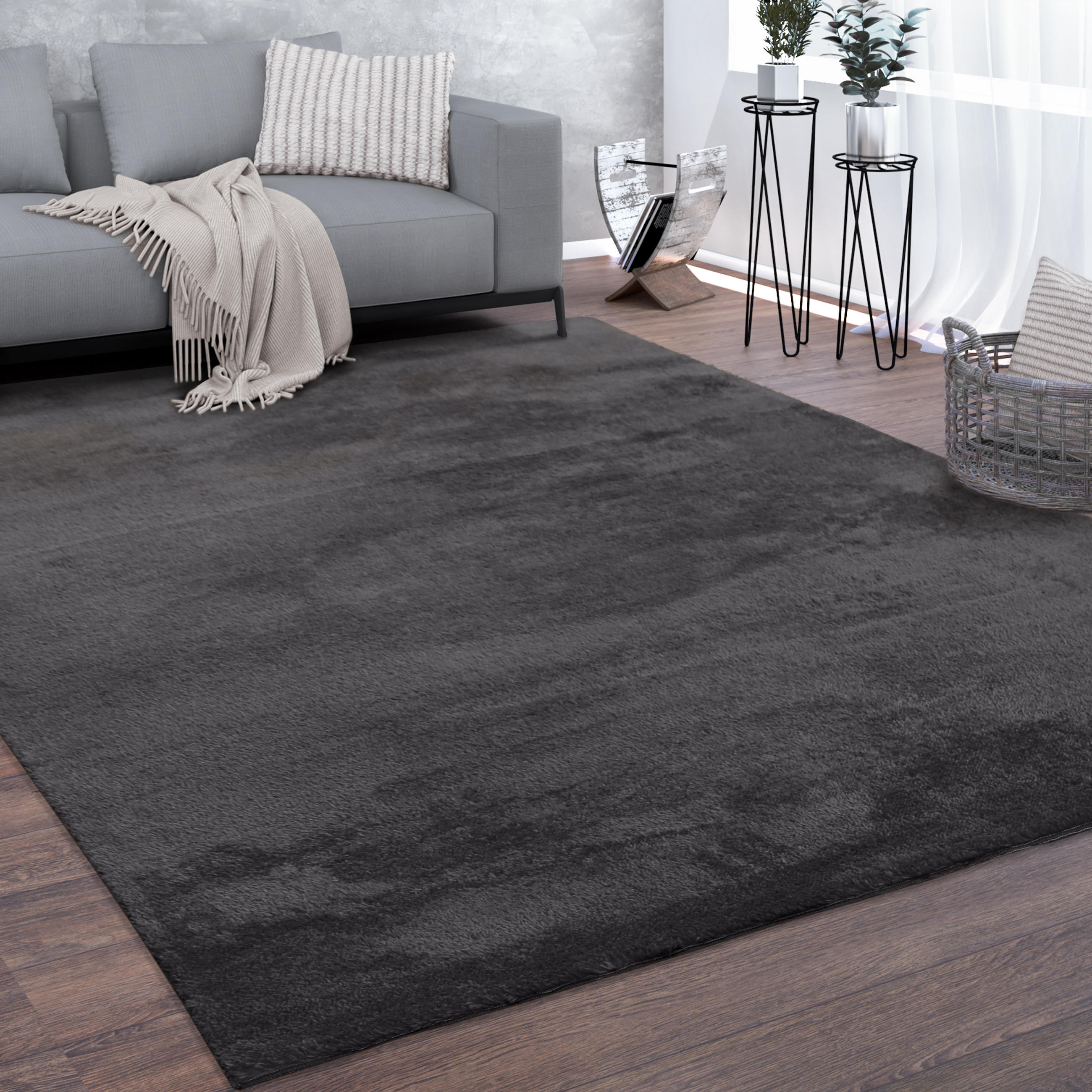 KURZFLORTEPPICH 300/400 cm Cadiz 630 - Anthrazit, Textil (300/400cm) - Paco Home
