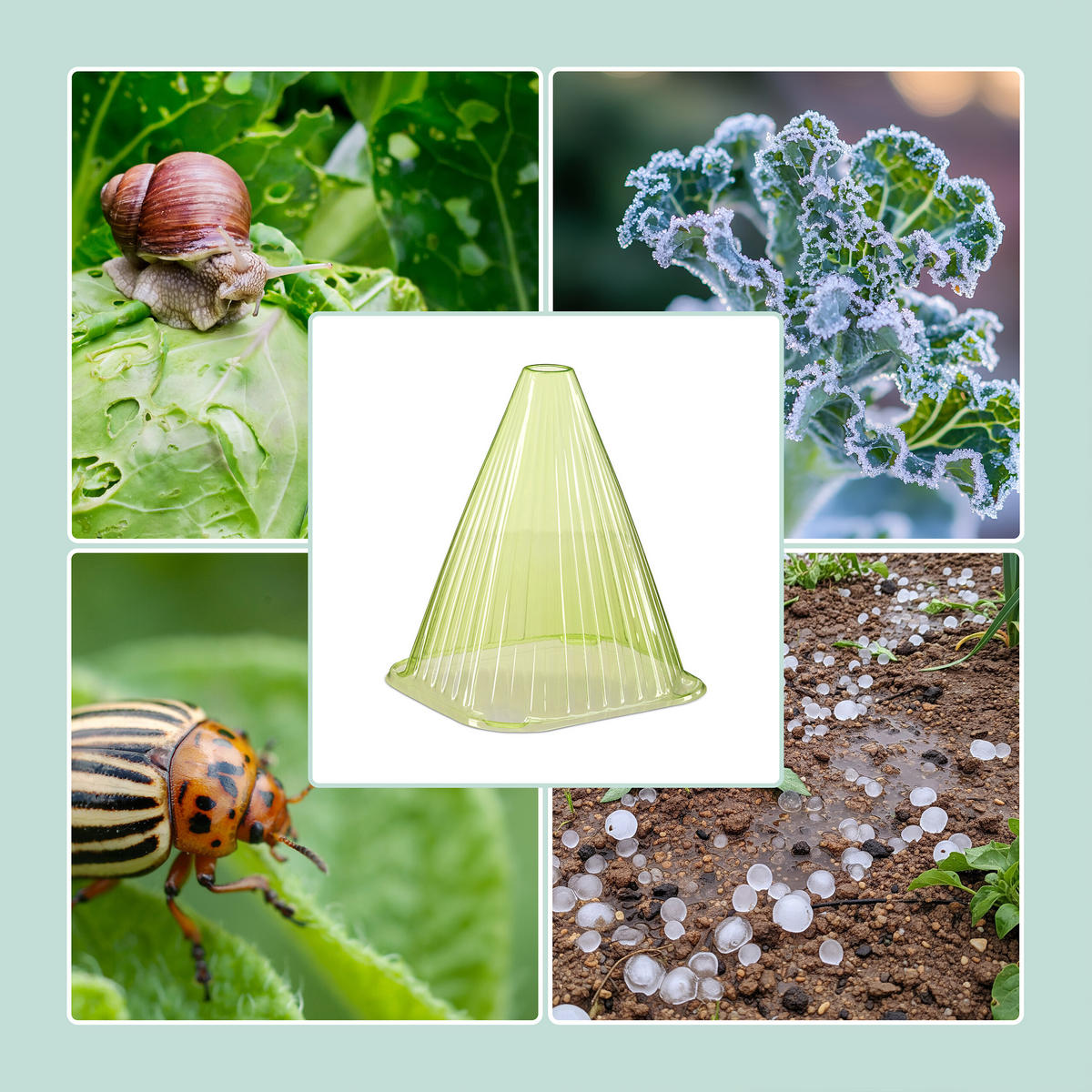 PFLANZENHUT-SET - Grün, Kunststoff (19/22/19cm) - Relaxdays