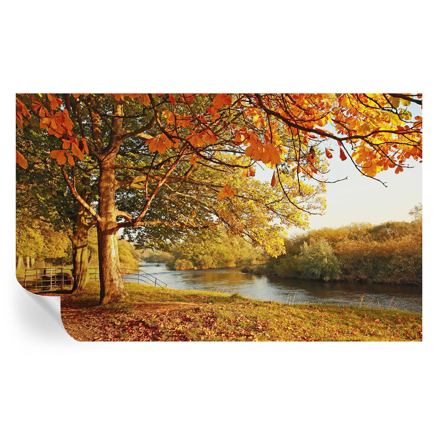 FOTOTAPETE 416x254 cm - Küstenherbst - Gelb, Textil (416/254cm) - Wallfluent