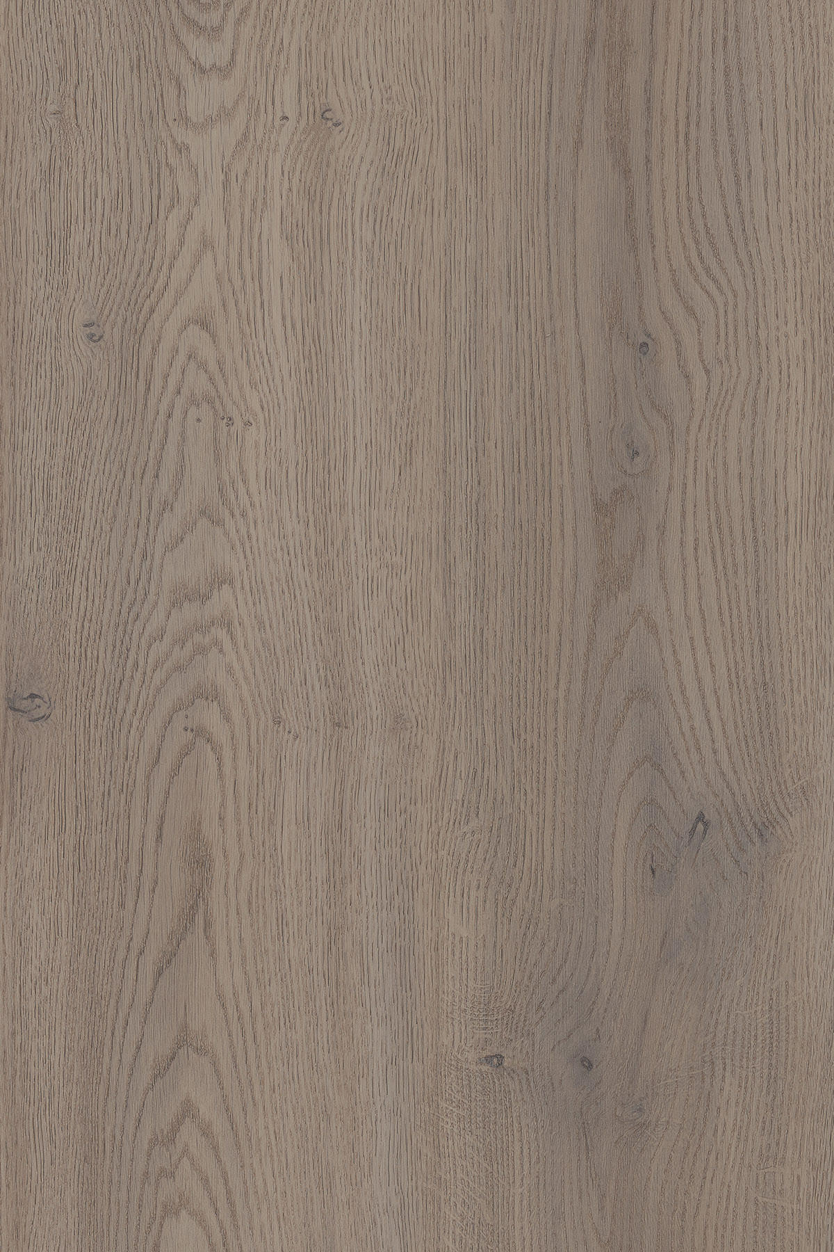 COUCHTISCH MORISS - Schwarz/Sahara, Holzwerkstoff (55/100/36cm) - Meblini